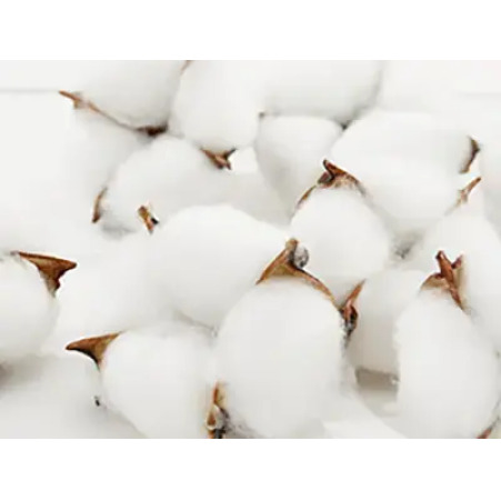 Velfont | prześcieradło Respira